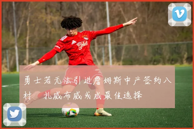 勇士若无法引进詹姆斯中产签约八村塁扎威布威或成最佳选择